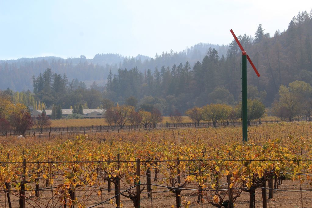 Highway 128 north of Tubbs Lane on Saturday, Oct. 14.